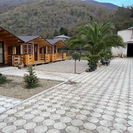 Olginka Villa Gagra Eksteriør billede