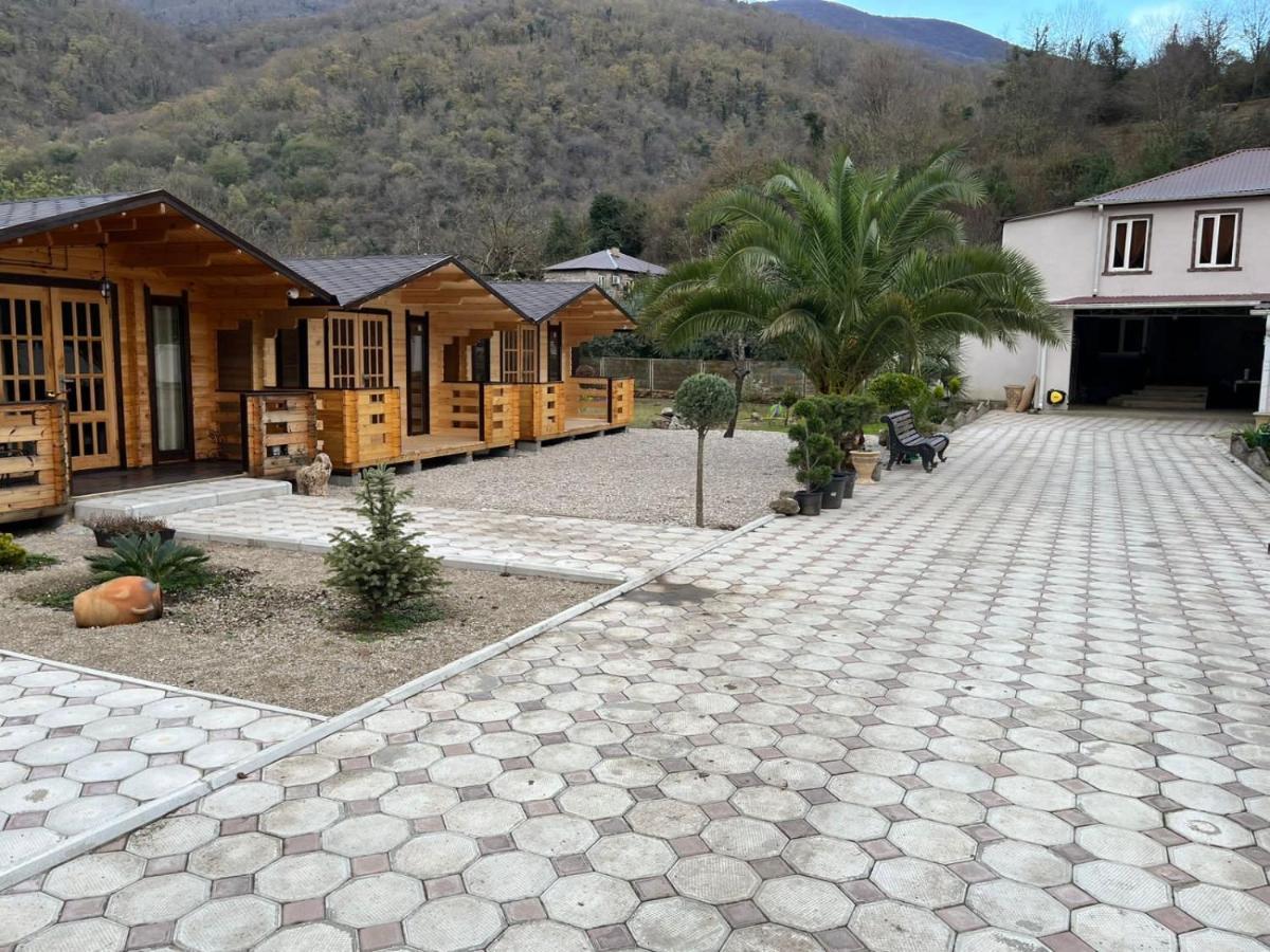 Olginka Villa Gagra Eksteriør billede