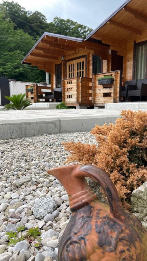 Olginka Villa Gagra Eksteriør billede