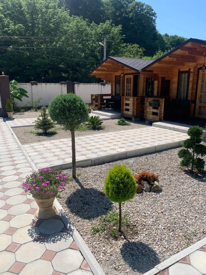 Olginka Villa Gagra Eksteriør billede